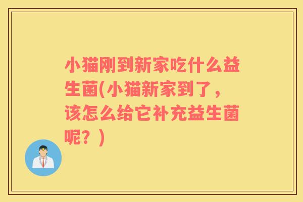 小猫刚到新家吃什么益生菌(小猫新家到了，该怎么给它补充益生菌呢？)