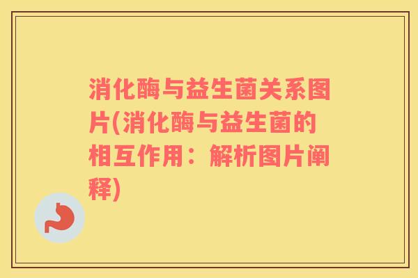 消化酶与益生菌关系图片(消化酶与益生菌的相互作用：解析图片阐释)