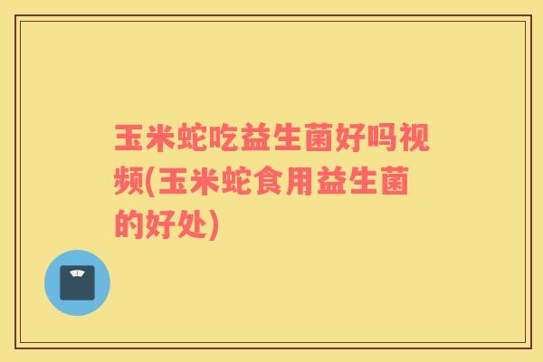 玉米蛇吃益生菌好吗视频(玉米蛇食用益生菌的好处)