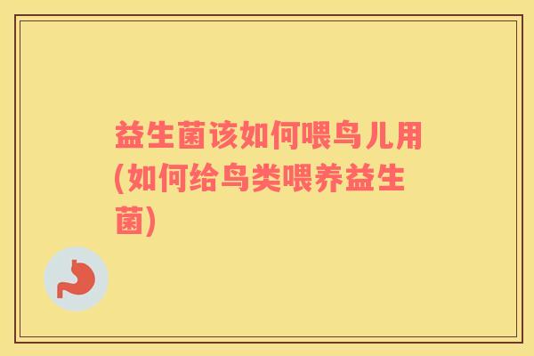 益生菌该如何喂鸟儿用(如何给鸟类喂养益生菌)
