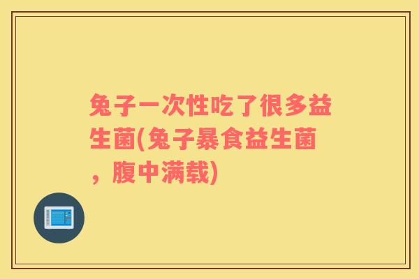 兔子一次性吃了很多益生菌(兔子暴食益生菌，腹中满载)