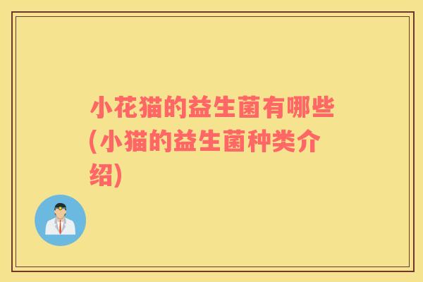 小花猫的益生菌有哪些(小猫的益生菌种类介绍)