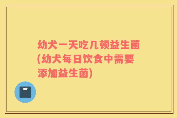 幼犬一天吃几顿益生菌(幼犬每日饮食中需要添加益生菌)