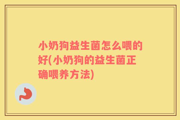 小奶狗益生菌怎么喂的好(小奶狗的益生菌正确喂养方法)
