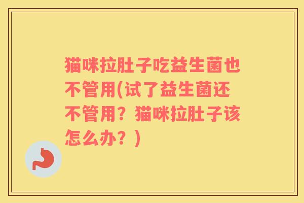 猫咪拉肚子吃益生菌也不管用(试了益生菌还不管用?猫咪拉肚子该怎么办?) 猫咪拉肚子吃益生菌也不管用(试了益生菌还不管用?猫咪拉肚子该怎么办?)