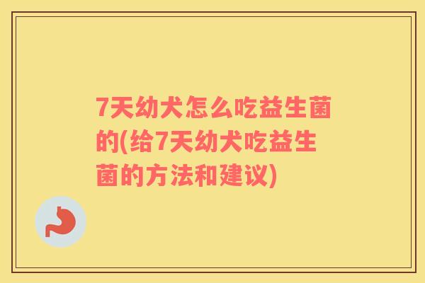 7天幼犬怎么吃益生菌的(给7天幼犬吃益生菌的方法和建议)