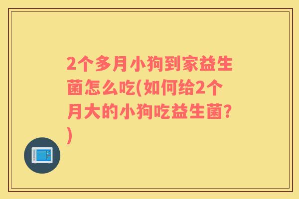 2个多月小狗到家益生菌怎么吃(如何给2个月大的小狗吃益生菌？)