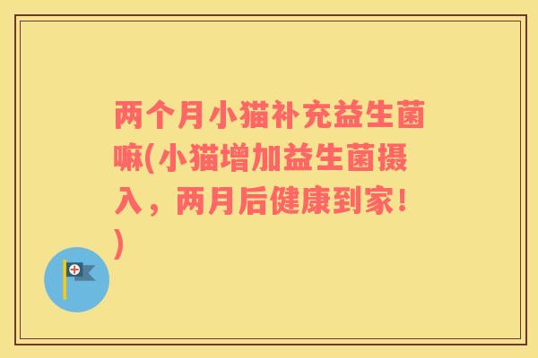 两个月小猫补充益生菌嘛(小猫增加益生菌摄入，两月后健康到家！)