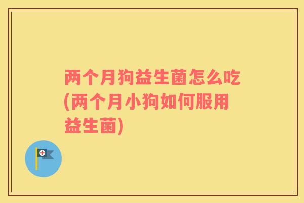 两个月狗益生菌怎么吃(两个月小狗如何服用益生菌)