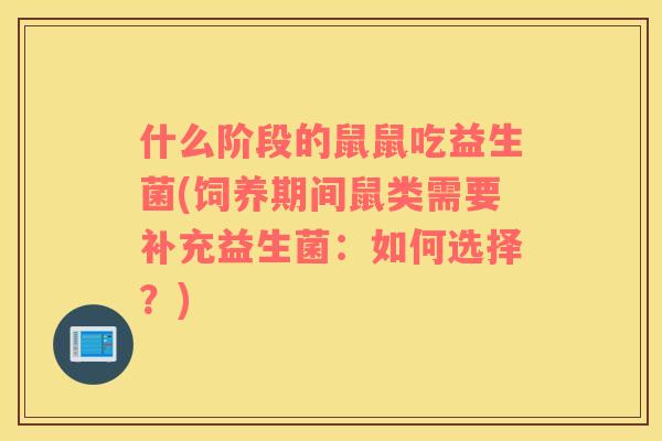 什么阶段的鼠鼠吃益生菌(饲养期间鼠类需要补充益生菌：如何选择？)