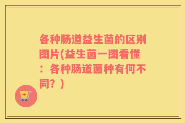 各种肠道益生菌的区别图片(益生菌一图看懂:各种肠道菌种有何不同?) 各种肠道益生菌的区别图片(益生菌一图看懂:各种肠道菌种有何不同?)