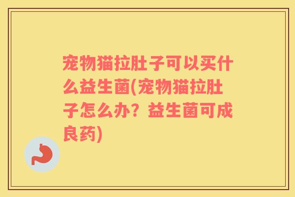 宠物猫拉肚子可以买什么益生菌(宠物猫拉肚子怎么办？益生菌可成良药)