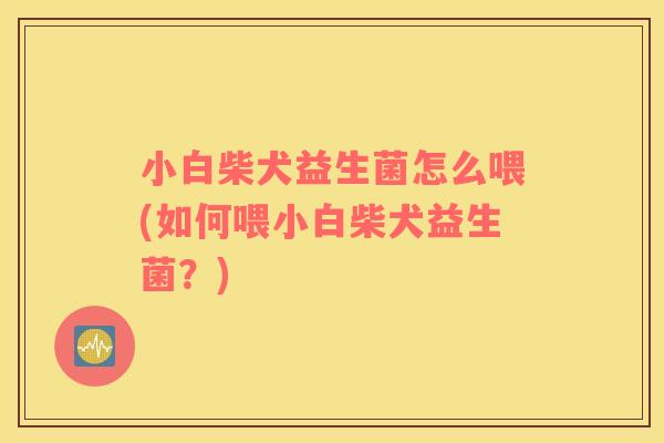 小白柴犬益生菌怎么喂(如何喂小白柴犬益生菌？)