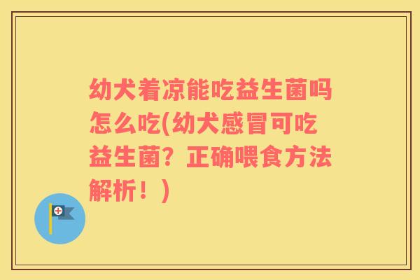 幼犬着凉能吃益生菌吗怎么吃(幼犬感冒可吃益生菌？正确喂食方法解析！)