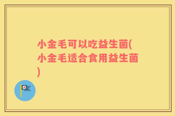 小金毛可以吃益生菌(小金毛适合食用益生菌)