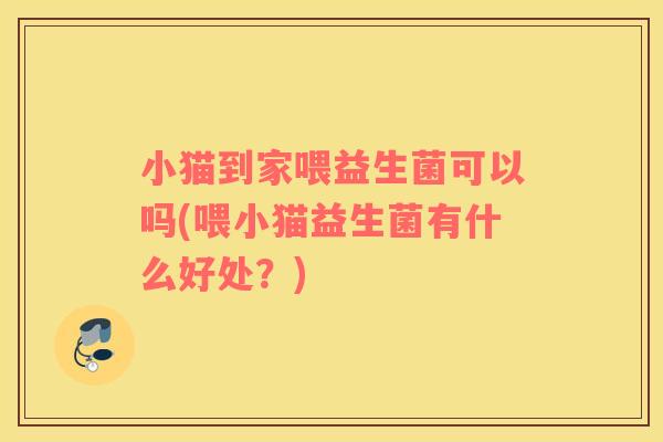 小猫到家喂益生菌可以吗(喂小猫益生菌有什么好处？)
