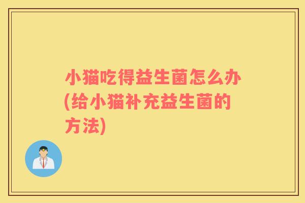 小猫吃得益生菌怎么办(给小猫补充益生菌的方法)