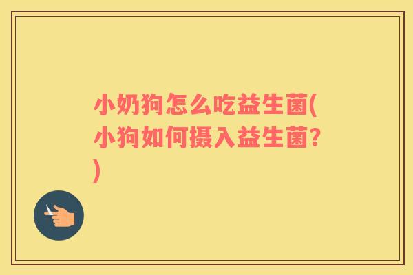 小奶狗怎么吃益生菌(小狗如何摄入益生菌？)