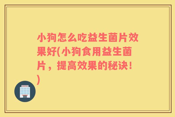 小狗怎么吃益生菌片效果好(小狗食用益生菌片，提高效果的秘诀！)