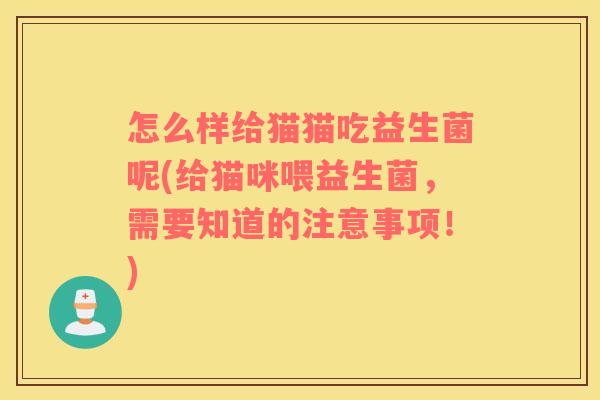 怎么样给猫猫吃益生菌呢(给猫咪喂益生菌，需要知道的注意事项！)