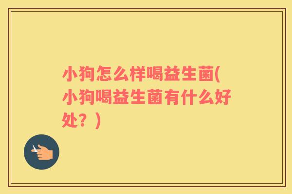 小狗怎么样喝益生菌(小狗喝益生菌有什么好处？)