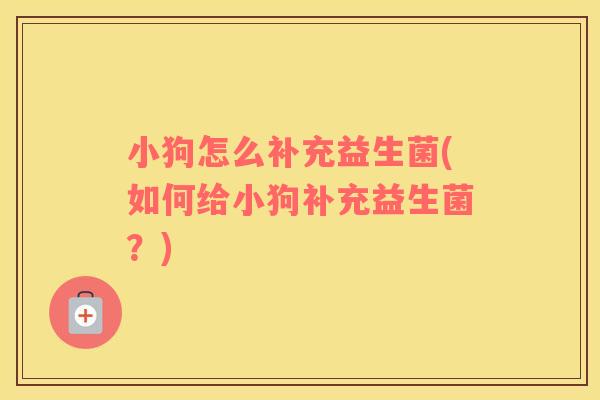 小狗怎么补充益生菌(如何给小狗补充益生菌？)