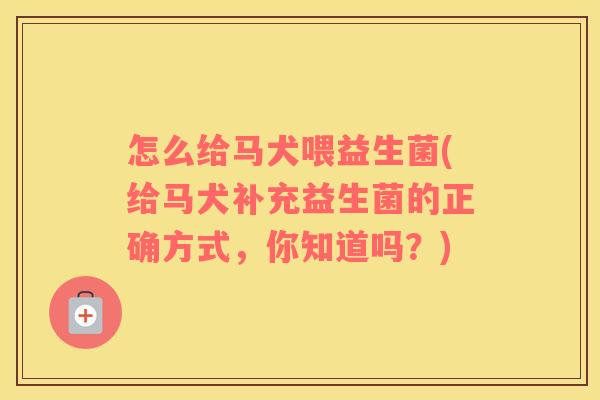 怎么给马犬喂益生菌(给马犬补充益生菌的正确方式，你知道吗？)