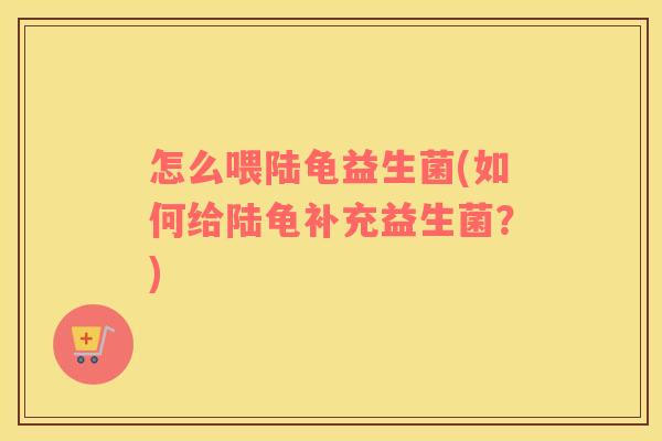 怎么喂陆龟益生菌(如何给陆龟补充益生菌？)