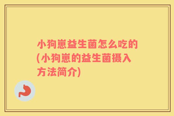 小狗崽益生菌怎么吃的(小狗崽的益生菌摄入方法简介)