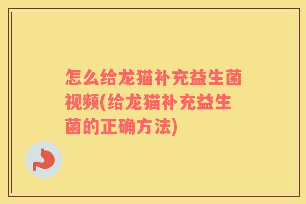 怎么给龙猫补充益生菌视频(给龙猫补充益生菌的正确方法)
