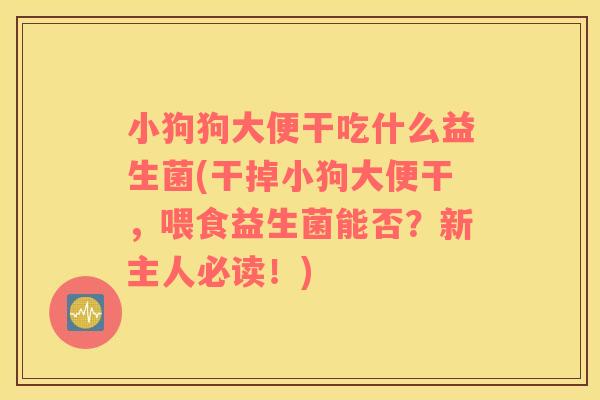 小狗狗大便干吃什么益生菌(干掉小狗大便干，喂食益生菌能否？新主人必读！)