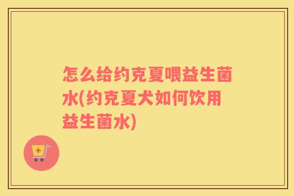 怎么给约克夏喂益生菌水(约克夏犬如何饮用益生菌水)