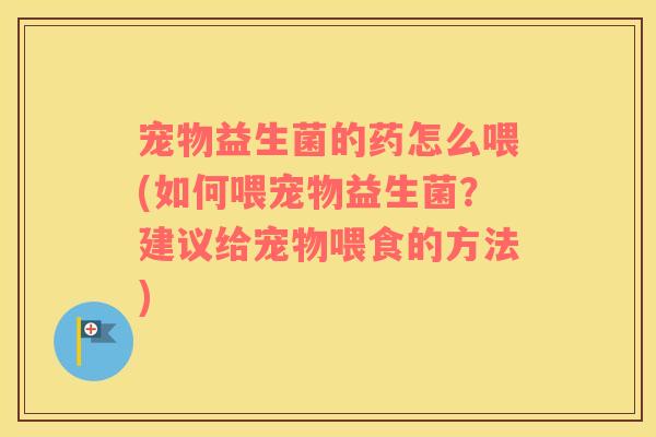 宠物益生菌的药怎么喂(如何喂宠物益生菌？建议给宠物喂食的方法)