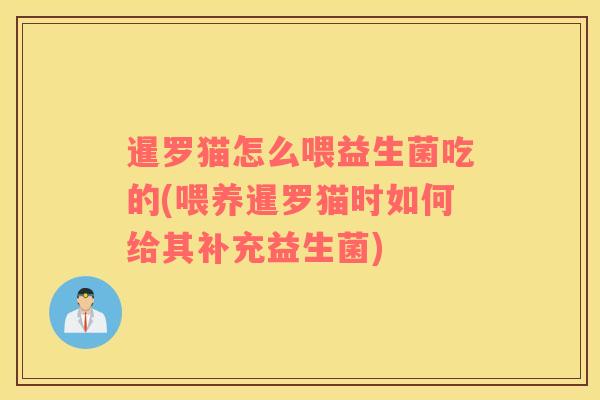 暹罗猫怎么喂益生菌吃的(喂养暹罗猫时如何给其补充益生菌)