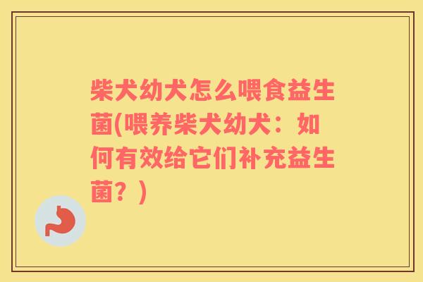 柴犬幼犬怎么喂食益生菌(喂养柴犬幼犬：如何有效给它们补充益生菌？)