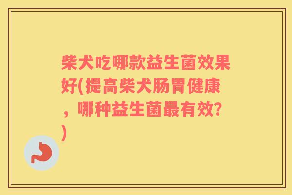 柴犬吃哪款益生菌效果好(提高柴犬肠胃健康，哪种益生菌最有效？)