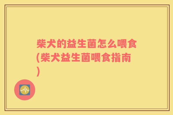 柴犬的益生菌怎么喂食(柴犬益生菌喂食指南)