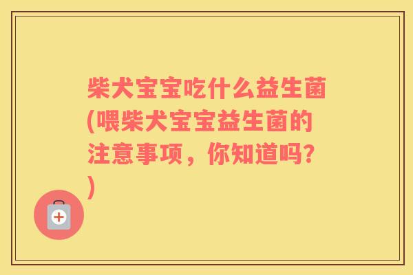 柴犬宝宝吃什么益生菌(喂柴犬宝宝益生菌的注意事项，你知道吗？)