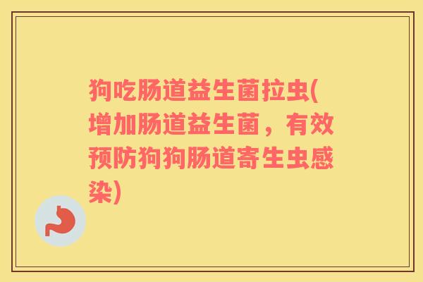 狗吃肠道益生菌拉虫(增加肠道益生菌，有效预防狗狗肠道寄生虫感染)