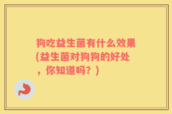 狗吃益生菌有什么效果(益生菌对狗狗的好处，你知道吗？)