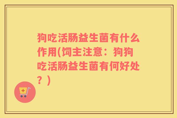 狗吃活肠益生菌有什么作用(饲主注意：狗狗吃活肠益生菌有何好处？)