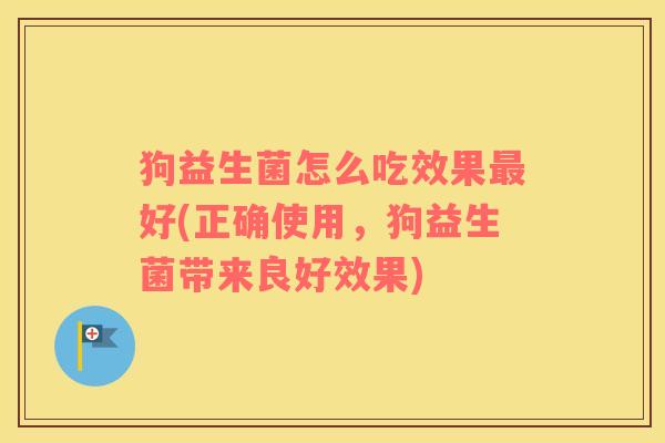 狗益生菌怎么吃效果最好(正确使用，狗益生菌带来良好效果)