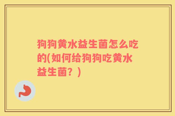 狗狗黄水益生菌怎么吃的(如何给狗狗吃黄水益生菌？)