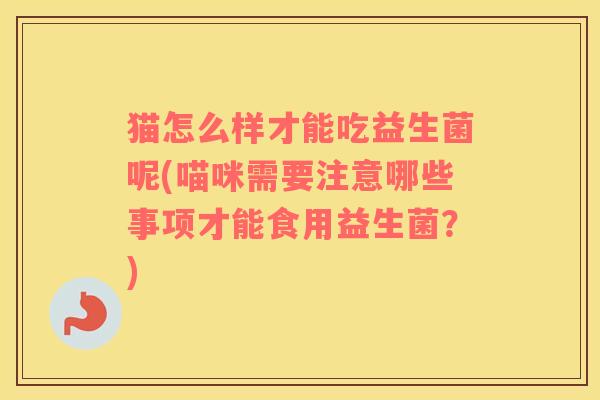 猫怎么样才能吃益生菌呢(喵咪需要注意哪些事项才能食用益生菌?) 猫怎么样才能吃益生菌呢(喵咪需要注意哪些事项才能食用益生菌?)