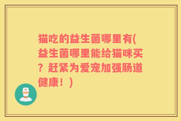 猫吃的益生菌哪里有(益生菌哪里能给猫咪买？赶紧为爱宠加强肠道健康！)