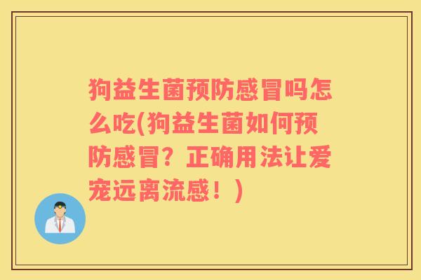 狗益生菌预防感冒吗怎么吃(狗益生菌如何预防感冒？正确用法让爱宠远离流感！)