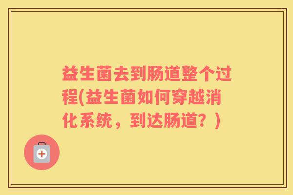 益生菌去到肠道整个过程(益生菌如何穿越消化系统，到达肠道？)