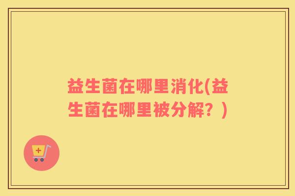 益生菌在哪里消化(益生菌在哪里被分解？)