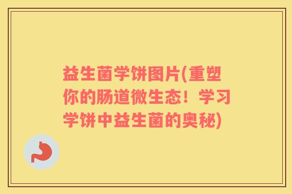 益生菌学饼图片(重塑你的肠道微生态！学习学饼中益生菌的奥秘)