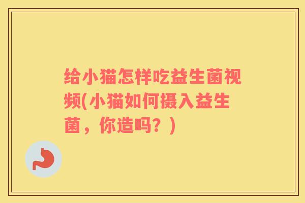 给小猫怎样吃益生菌视频(小猫如何摄入益生菌，你造吗？)